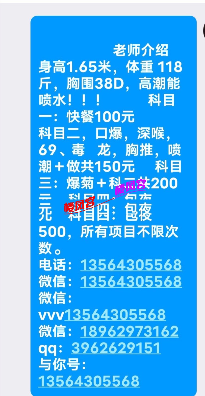 Screenshot_20241108_010926.jpeg