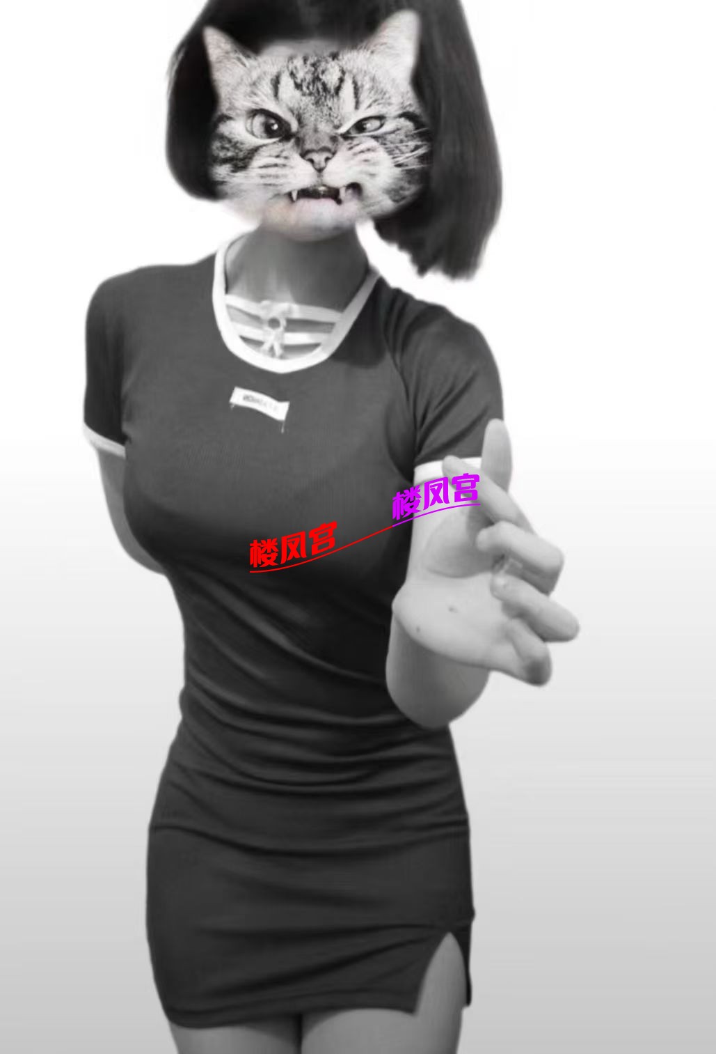 mmexport1745079710866.jpg